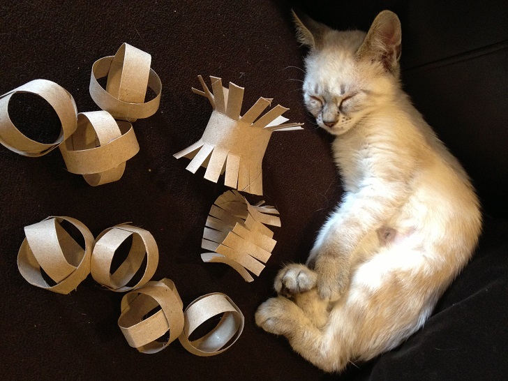 Kedi Oyuncağı Nasıl Yapılır